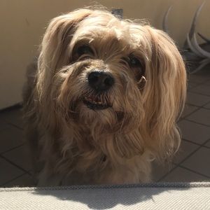 Meet your Posher, Brian